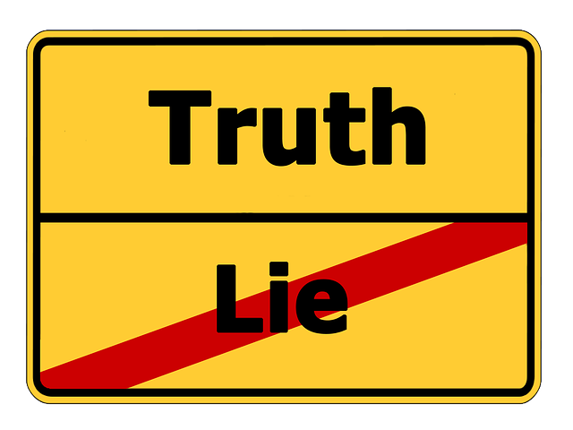 Yellow sign with "Truth" written on top and "Lie" written on the bottom with a thick red line drawn through it.